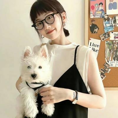 大追捕
